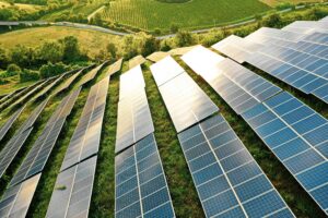Solar panels on green hillside landscape.